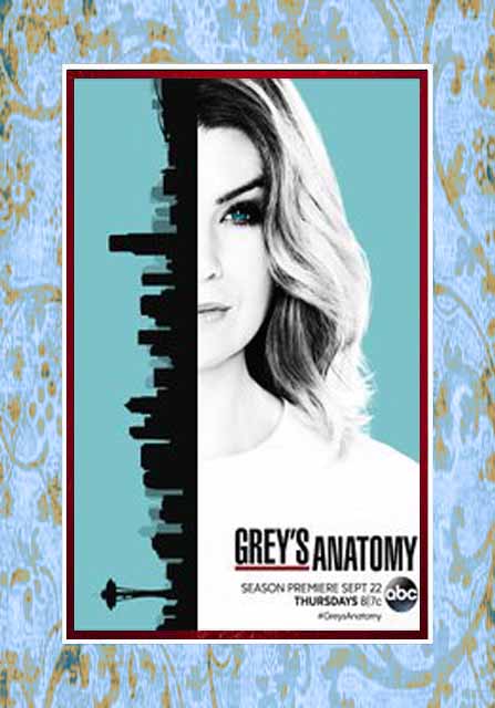 Greys Anatomy / Grey's Anatomy - Season 14 (Pre-Order) Greys Anatomy / Grey's Anatomy - Season 14 (Pre-Order)